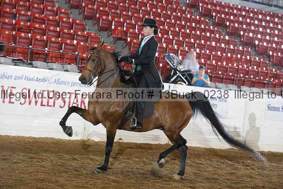 Proof 13buck_0238