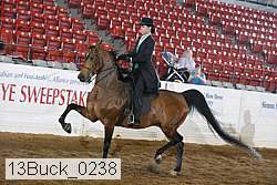 13buck_0238 proof