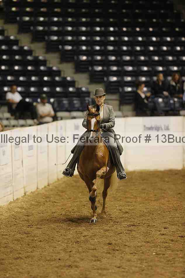 Proof 13buck_0239