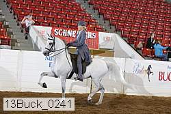 13buck_0241 proof