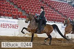 13buck_0244 proof