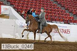 13buck_0246 proof