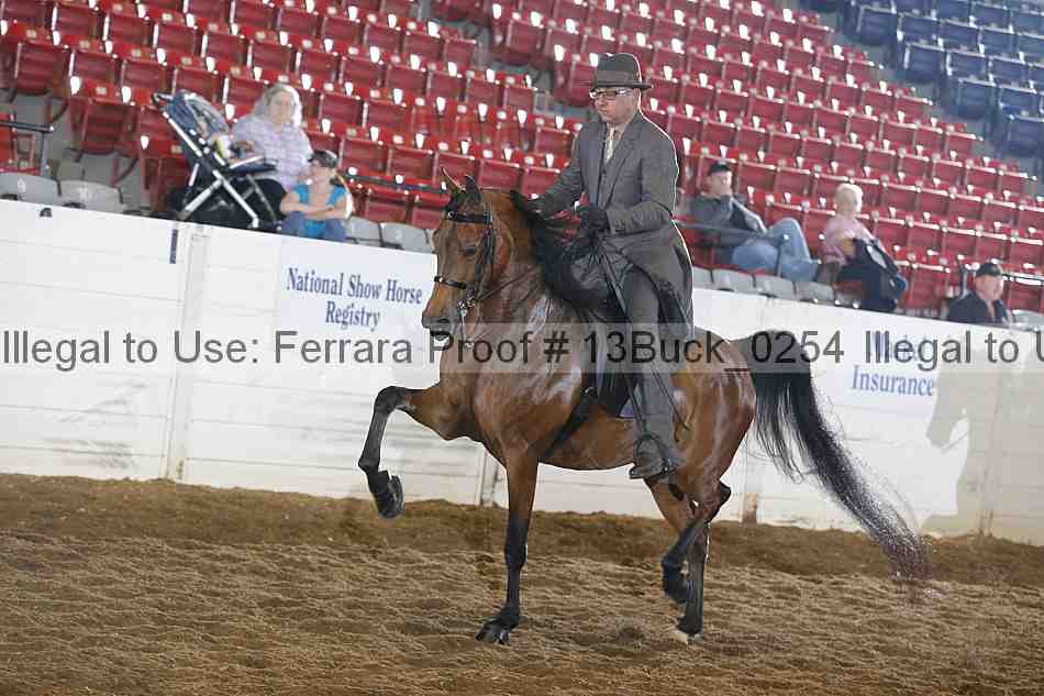 Proof 13buck_0254