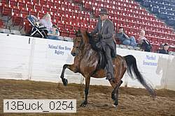 13buck_0254 proof