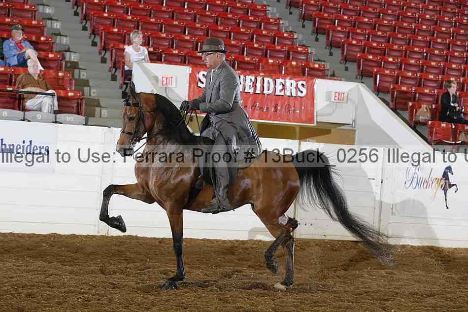 Proof 13buck_0256