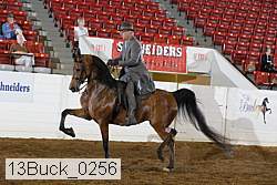 13buck_0256 proof