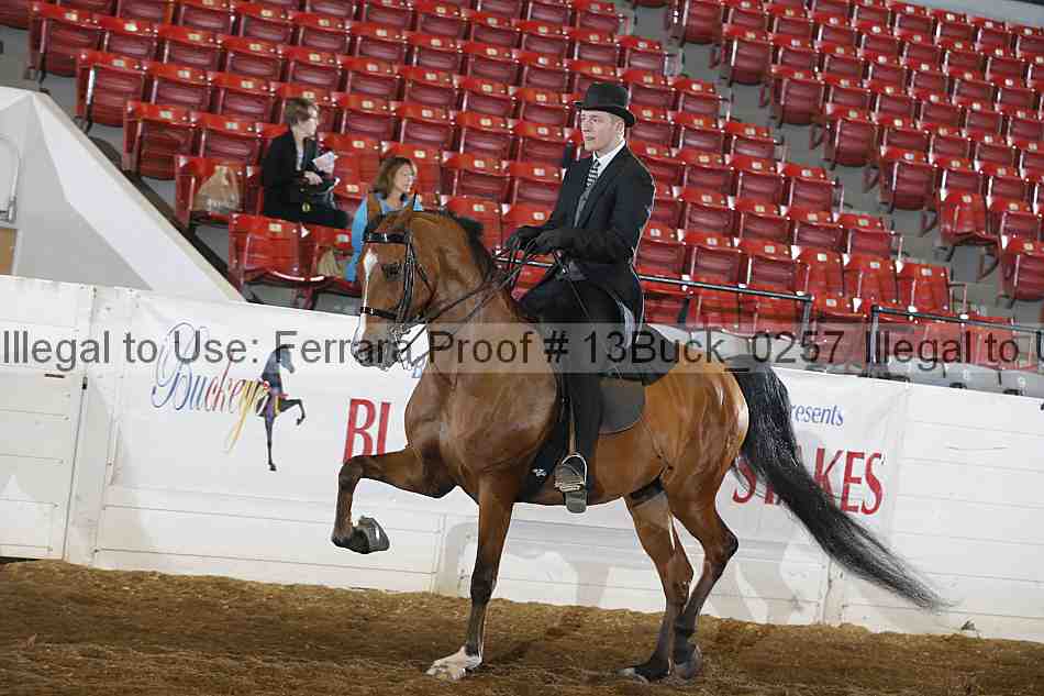 Proof 13buck_0257