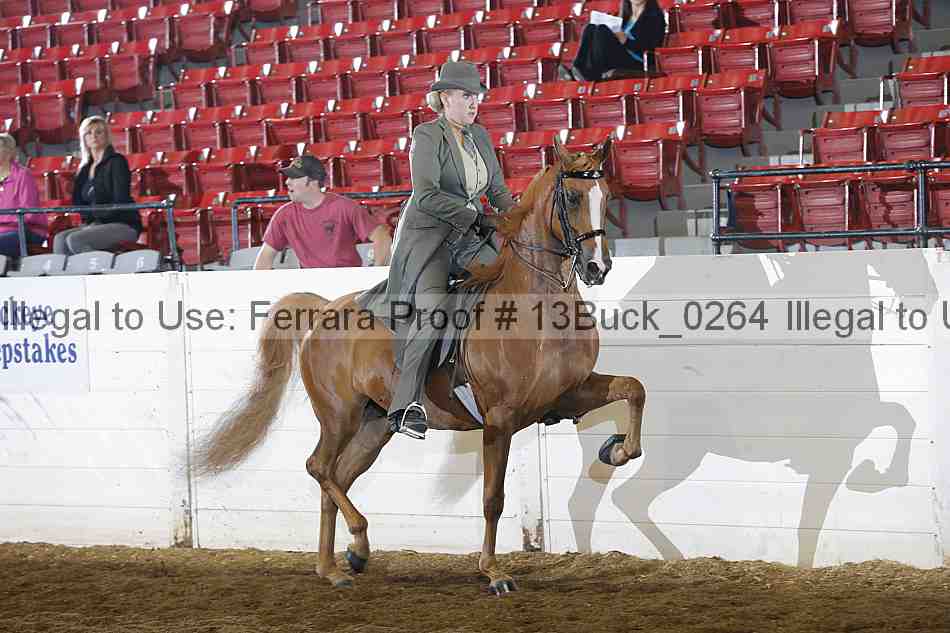 Proof 13buck_0264