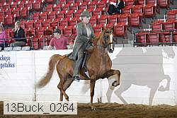 13buck_0264 proof