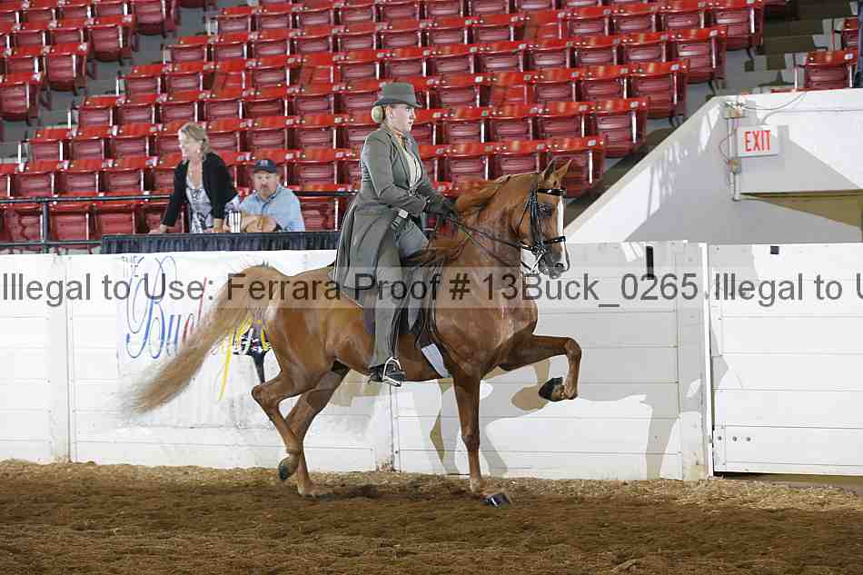 Proof 13buck_0265