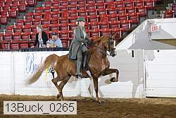 13buck_0265 proof