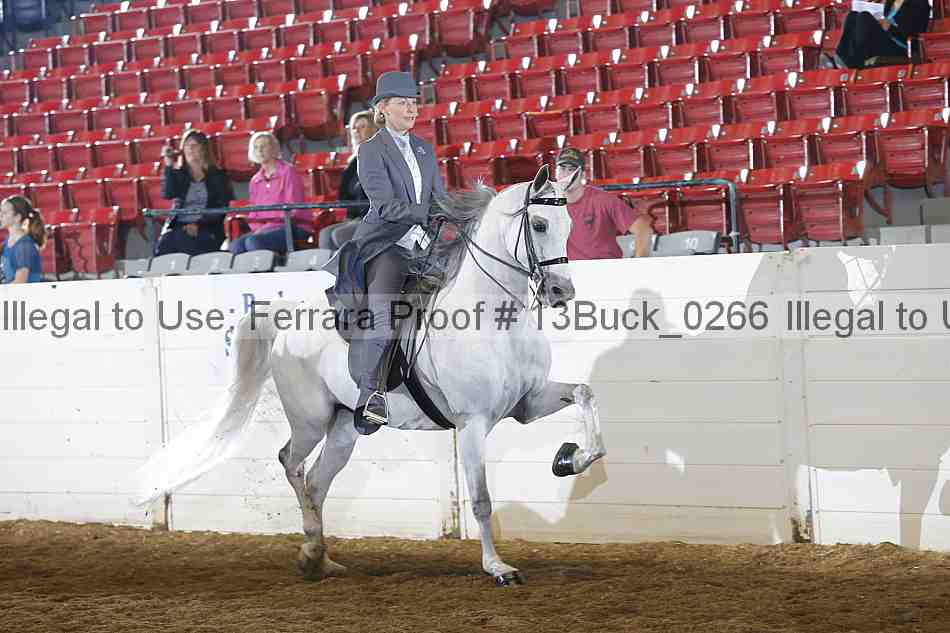 Proof 13buck_0266