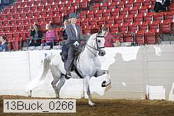 13buck_0266 proof