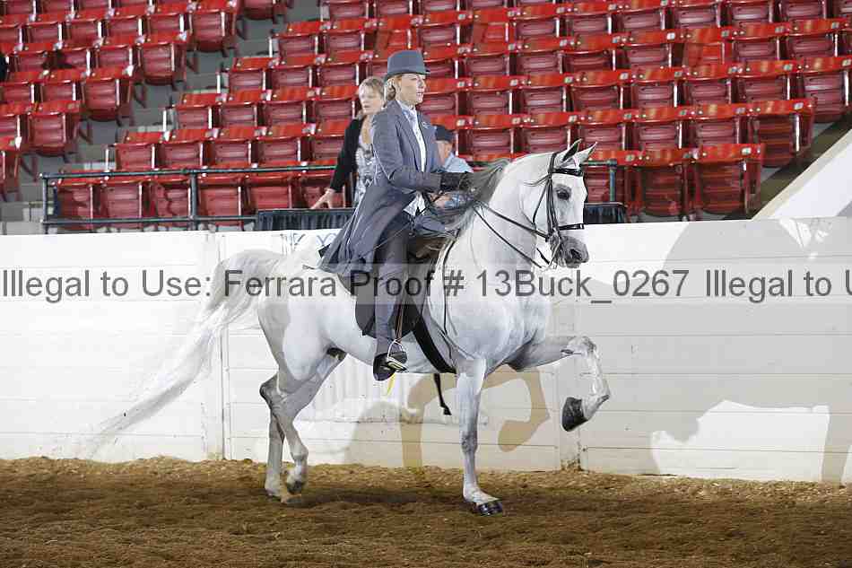 Proof 13buck_0267