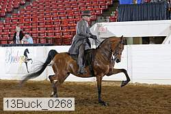 13buck_0268 proof
