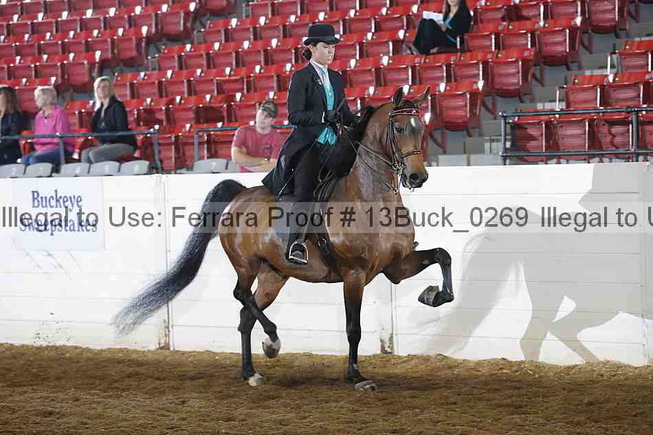 Proof 13buck_0269