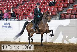 13buck_0269 proof