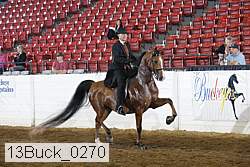 13buck_0270 proof