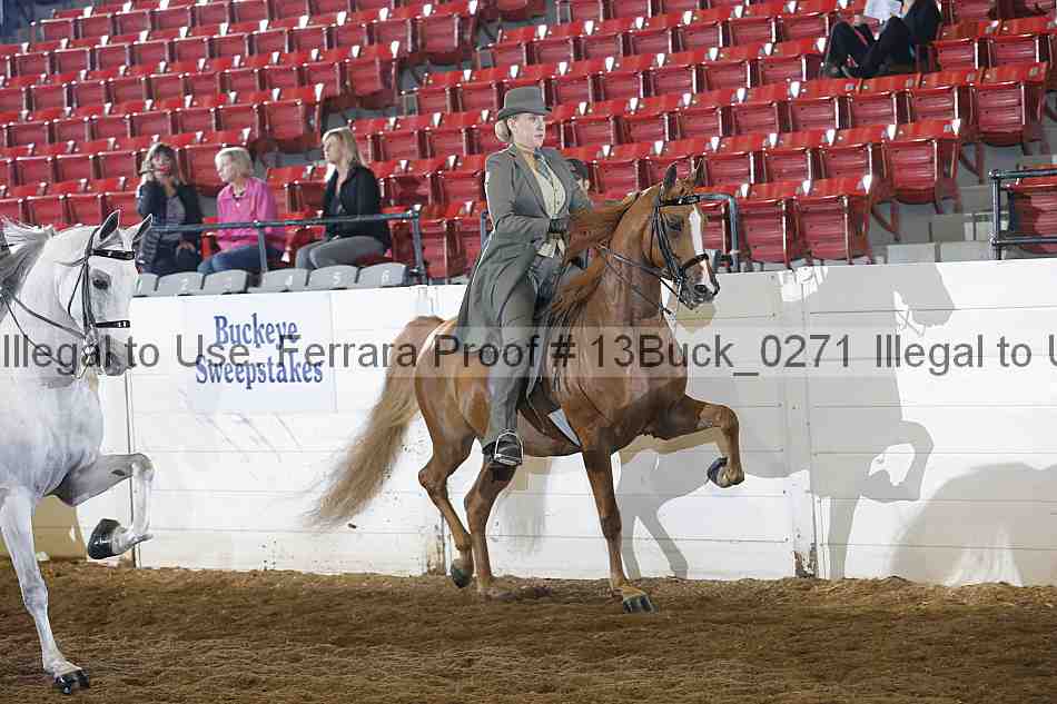 Proof 13buck_0271