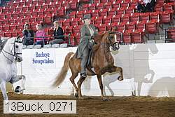 13buck_0271 proof