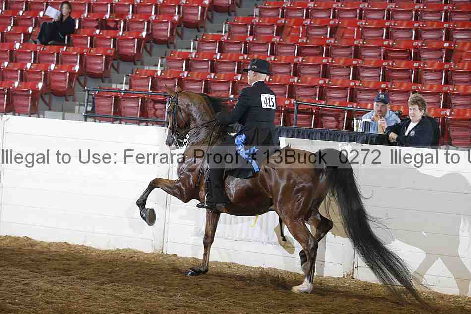 Proof 13buck_0272