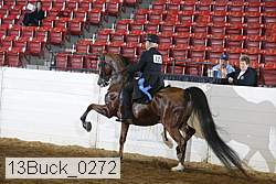 13buck_0272 proof