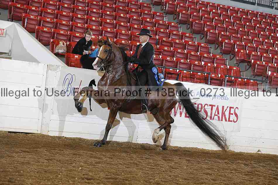 Proof 13buck_0273