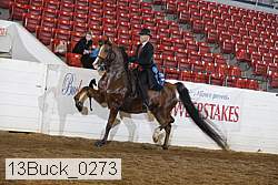 13buck_0273 proof