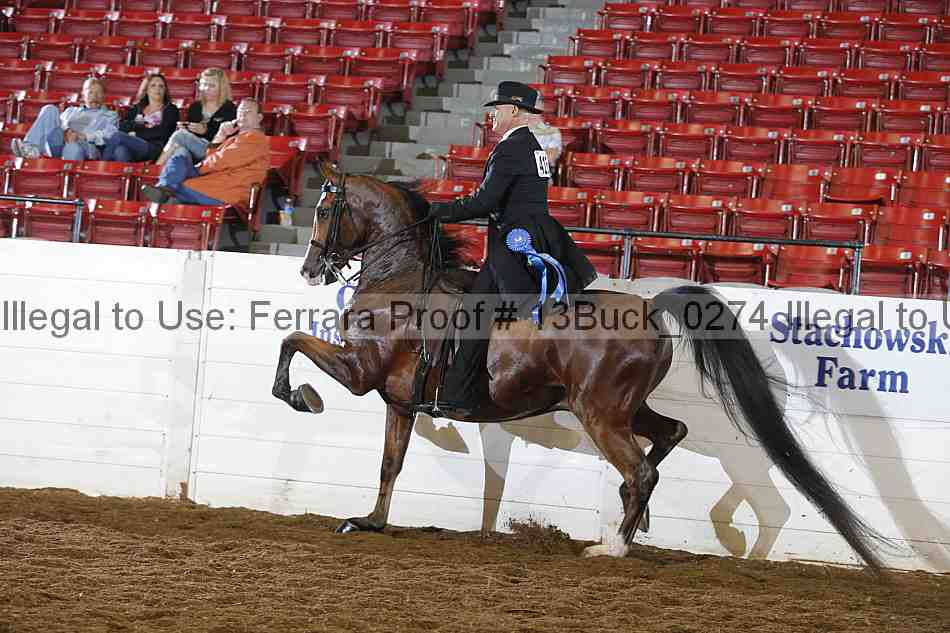 Proof 13buck_0274