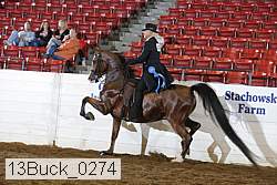 13buck_0274 proof