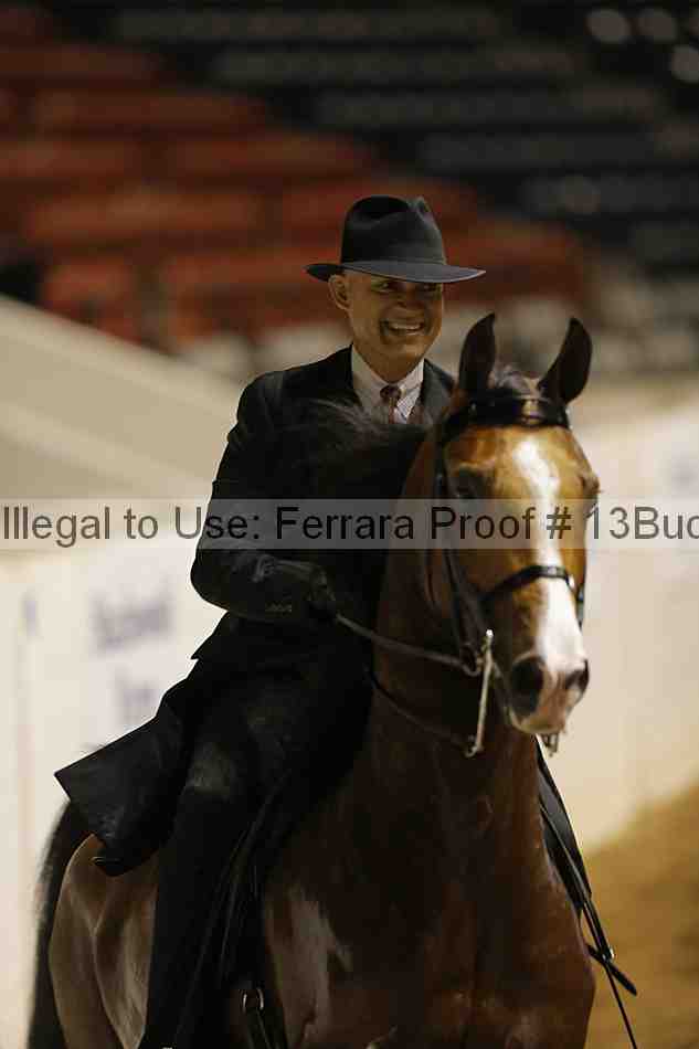 Proof 13buck_0277