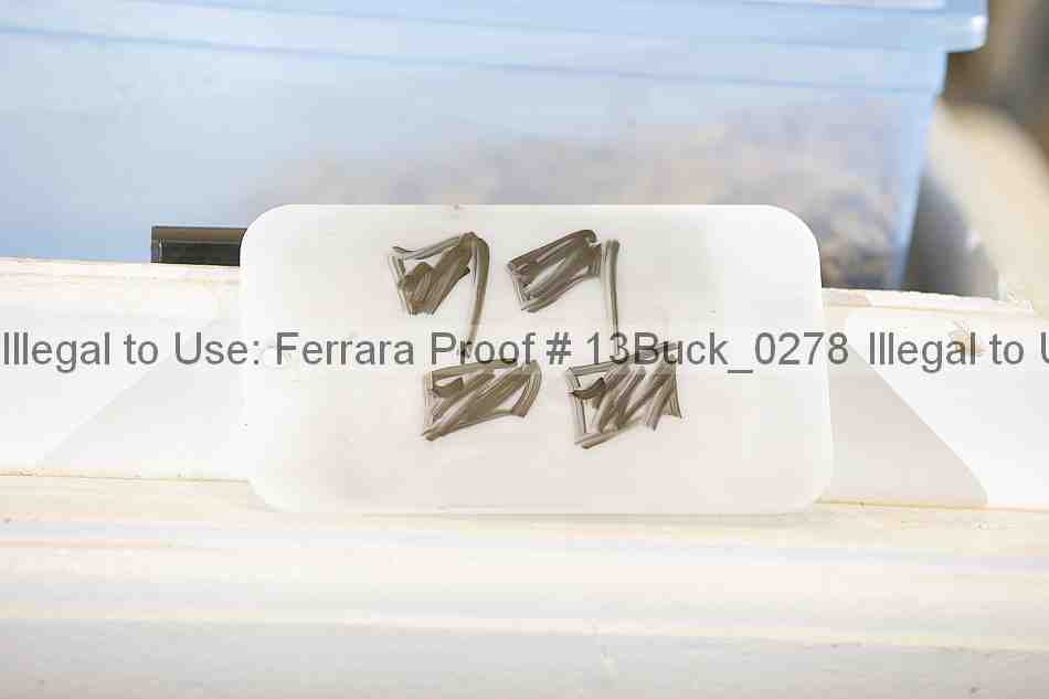 Proof 13buck_0278