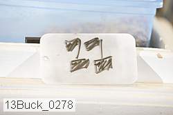 13buck_0278 proof