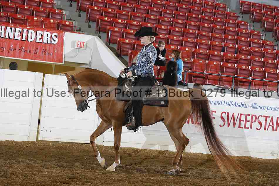 Proof 13buck_0279