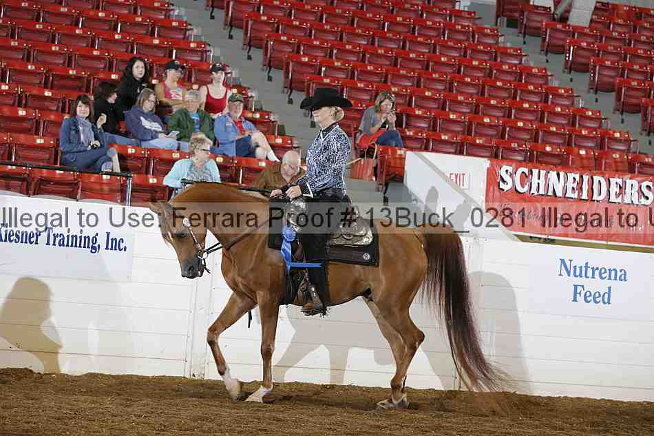 Proof 13buck_0281