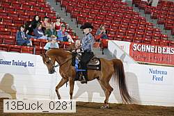 13buck_0281 proof
