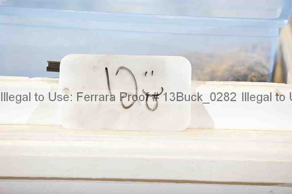 Proof 13buck_0282