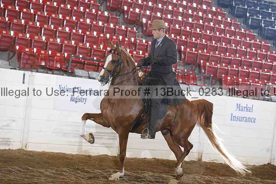 Proof 13buck_0283