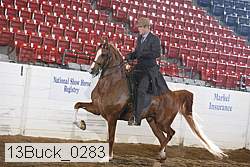 13buck_0283 proof