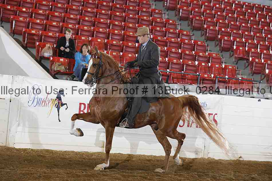 Proof 13buck_0284