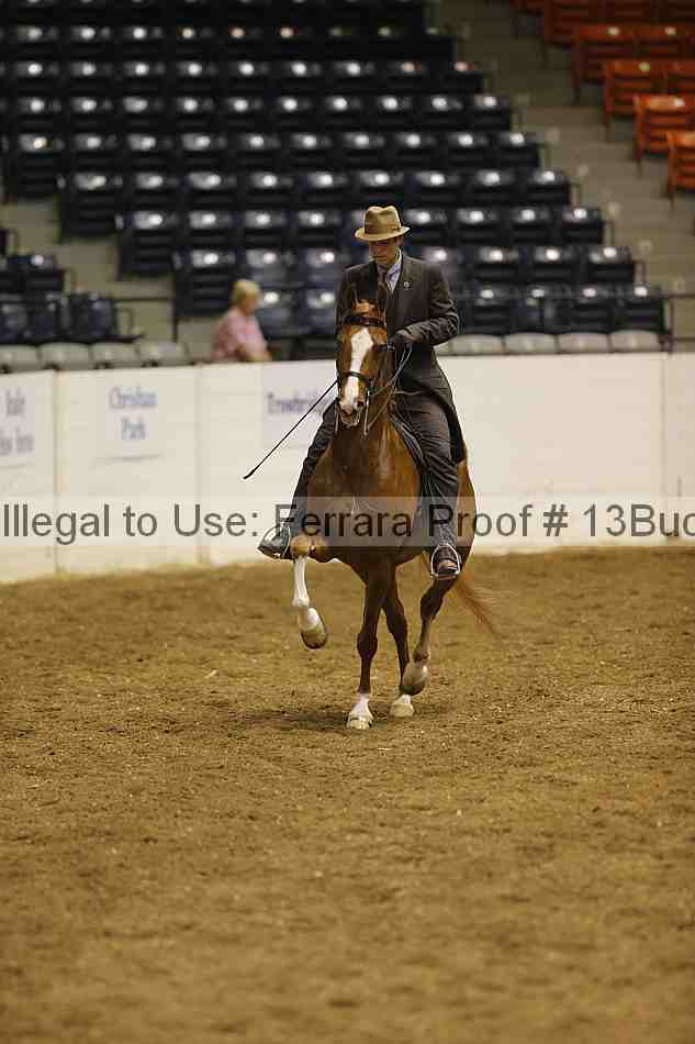 Proof 13buck_0285