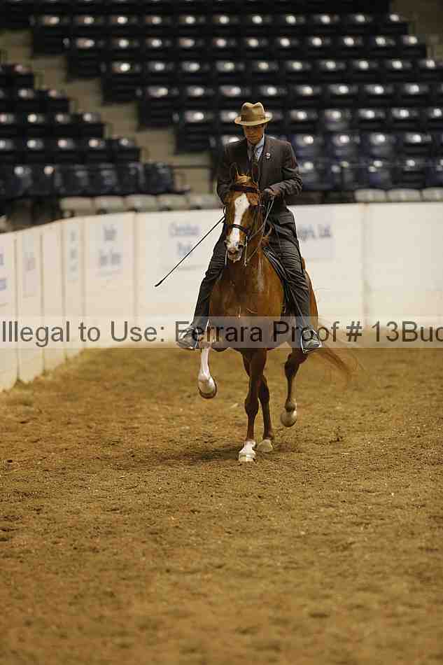 Proof 13buck_0286