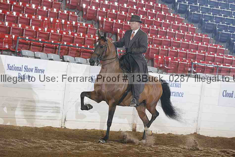 Proof 13buck_0287