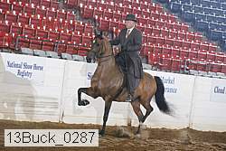 13buck_0287 proof