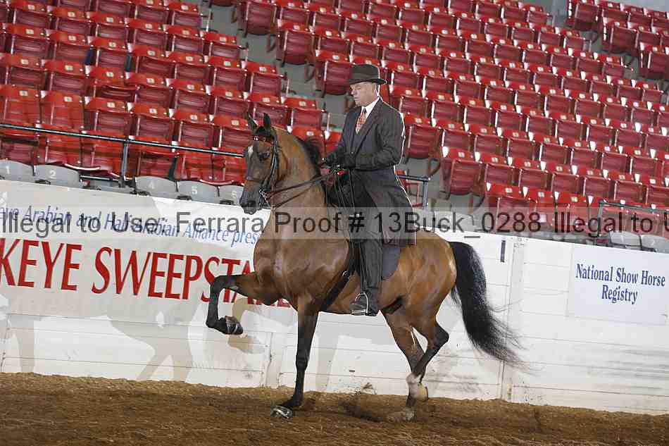 Proof 13buck_0288
