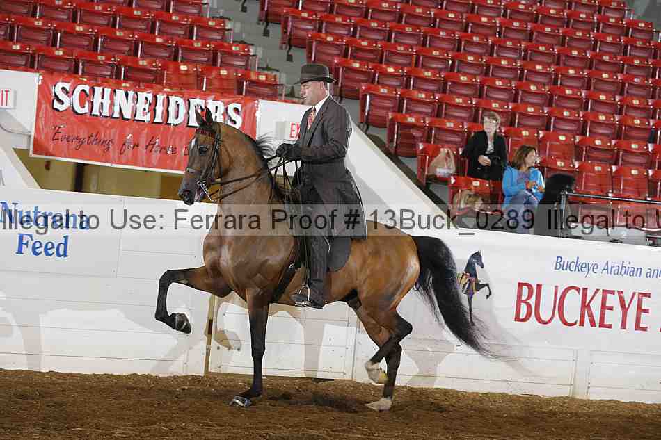 Proof 13buck_0289