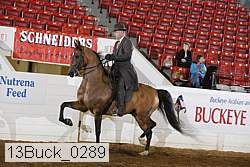 13buck_0289 proof