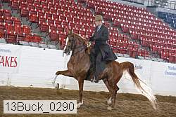 13buck_0290 proof