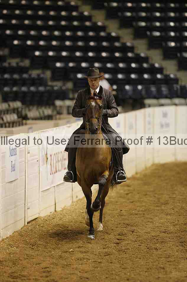 Proof 13buck_0291