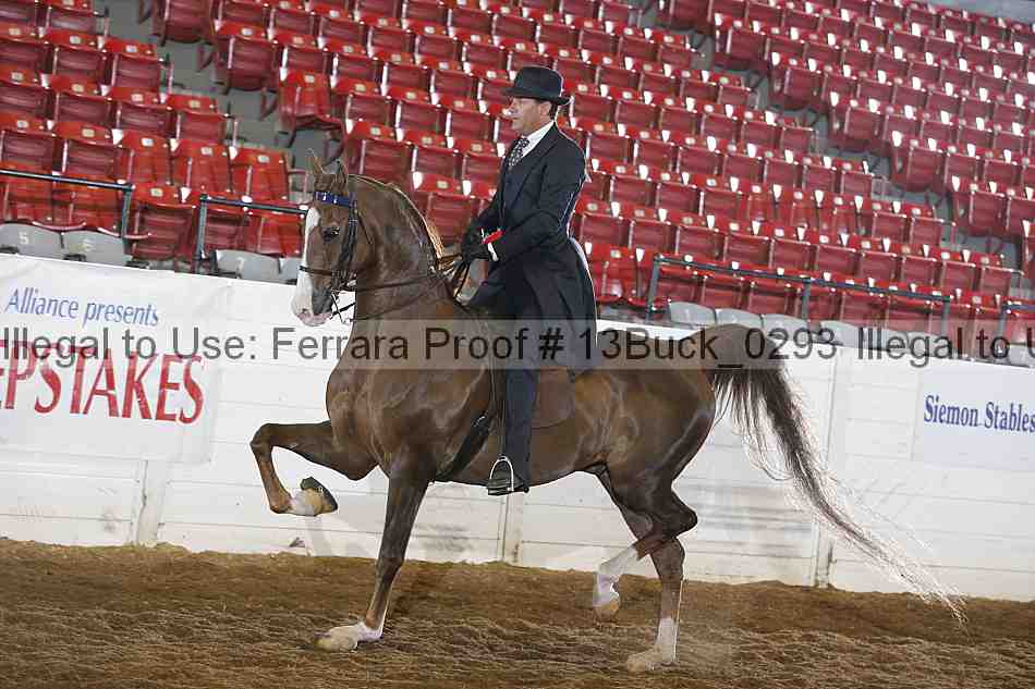 Proof 13buck_0293